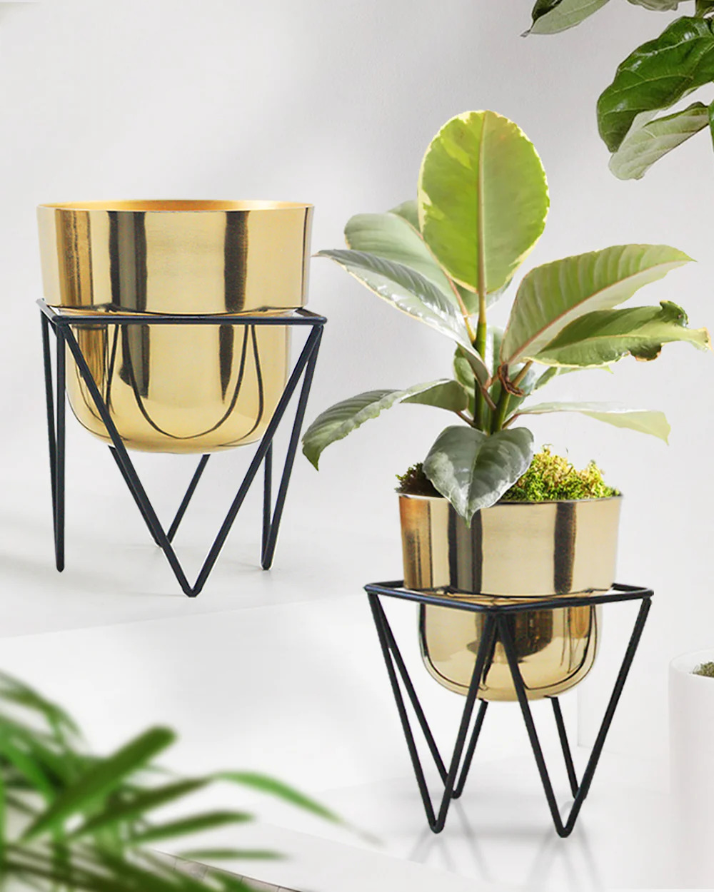 Iron Planter with Stand ₹ 399 & 299 - Image 3